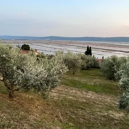 Pleasant 2 Bedrooms Duplex With Terrace