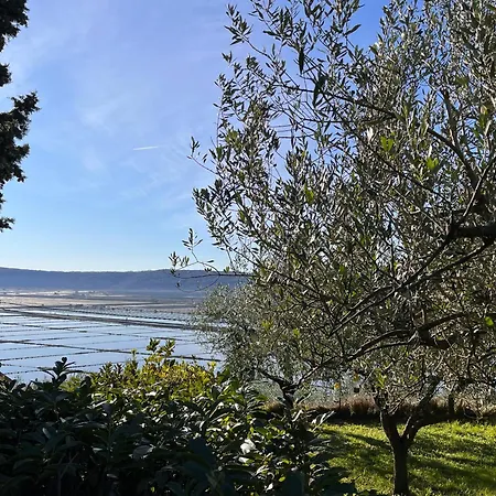 Pleasant 2 Bedrooms Duplex With Terrace Appartement Piran