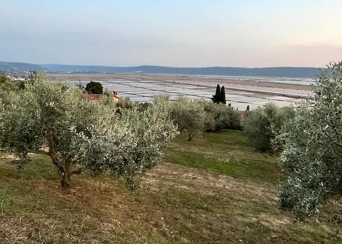 Pleasant 2 Bedrooms Duplex With Terrace